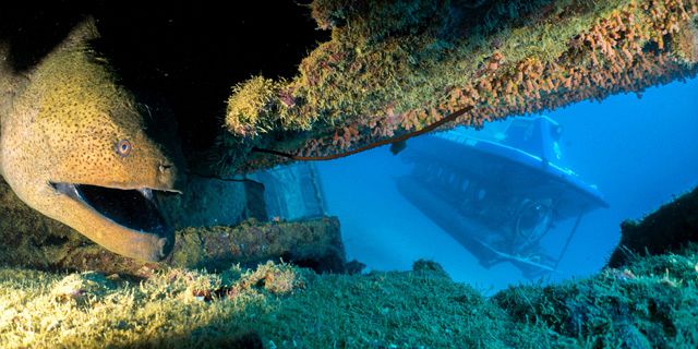 Submarine underwater trip (8)